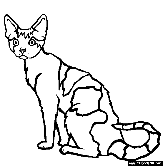 Cats online coloring pages