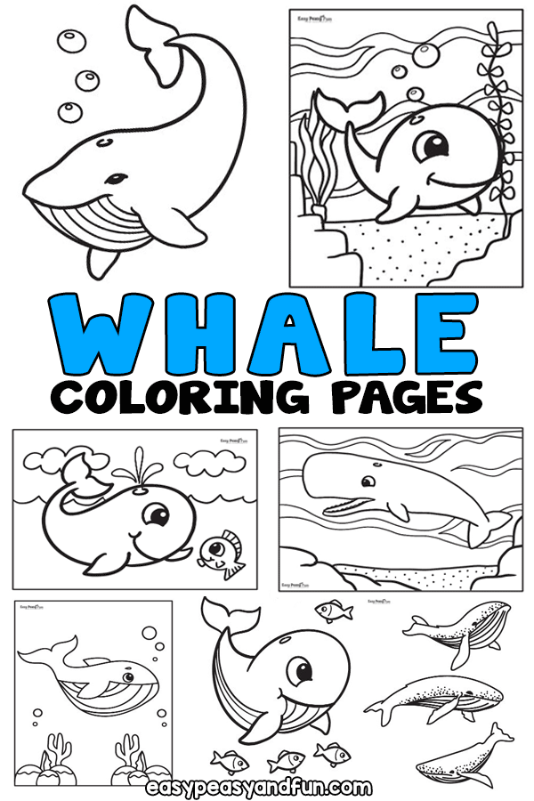 Whale coloring pages