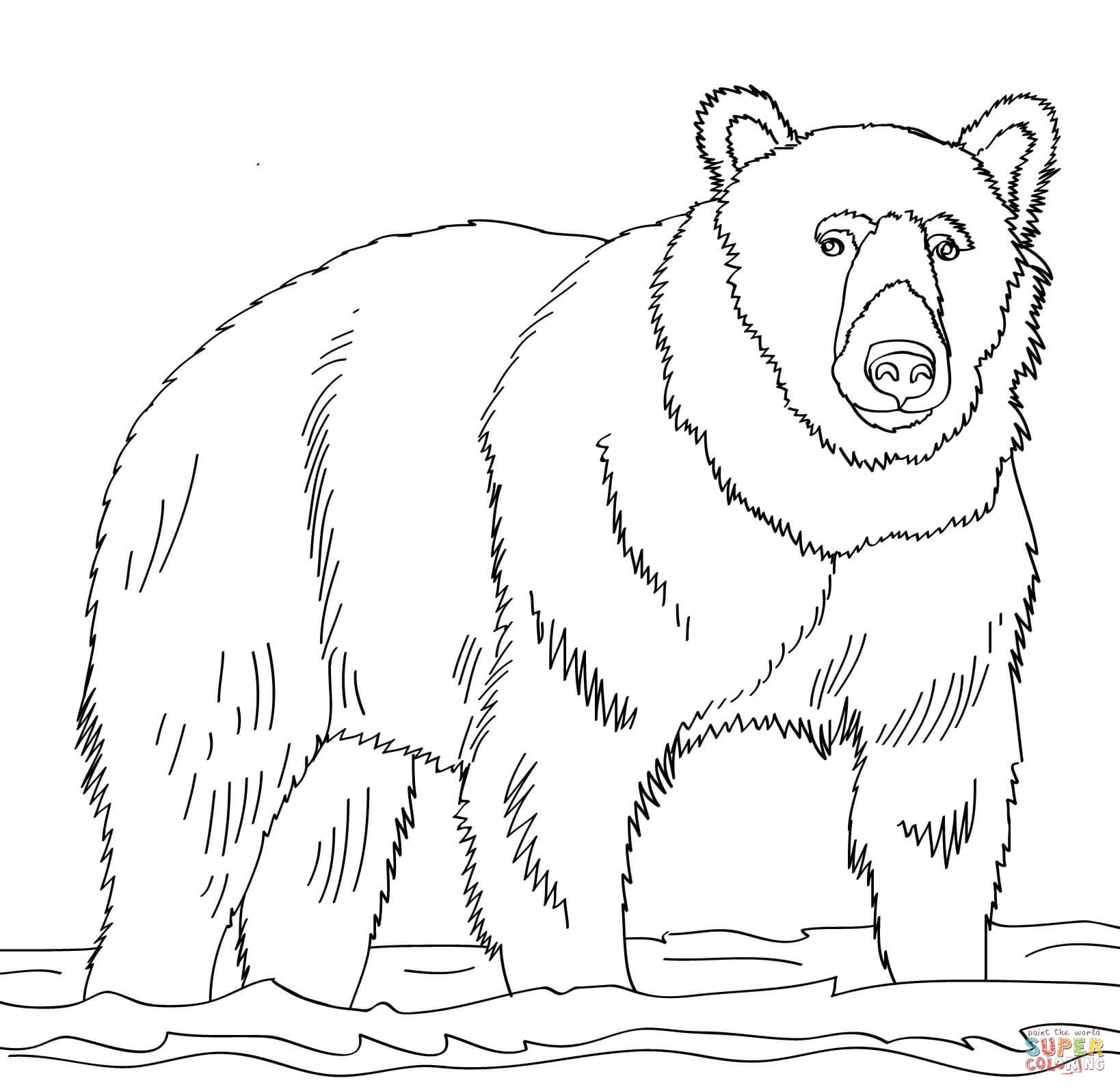 Brown bear stands in shallow water coloring page free printable coloring pages