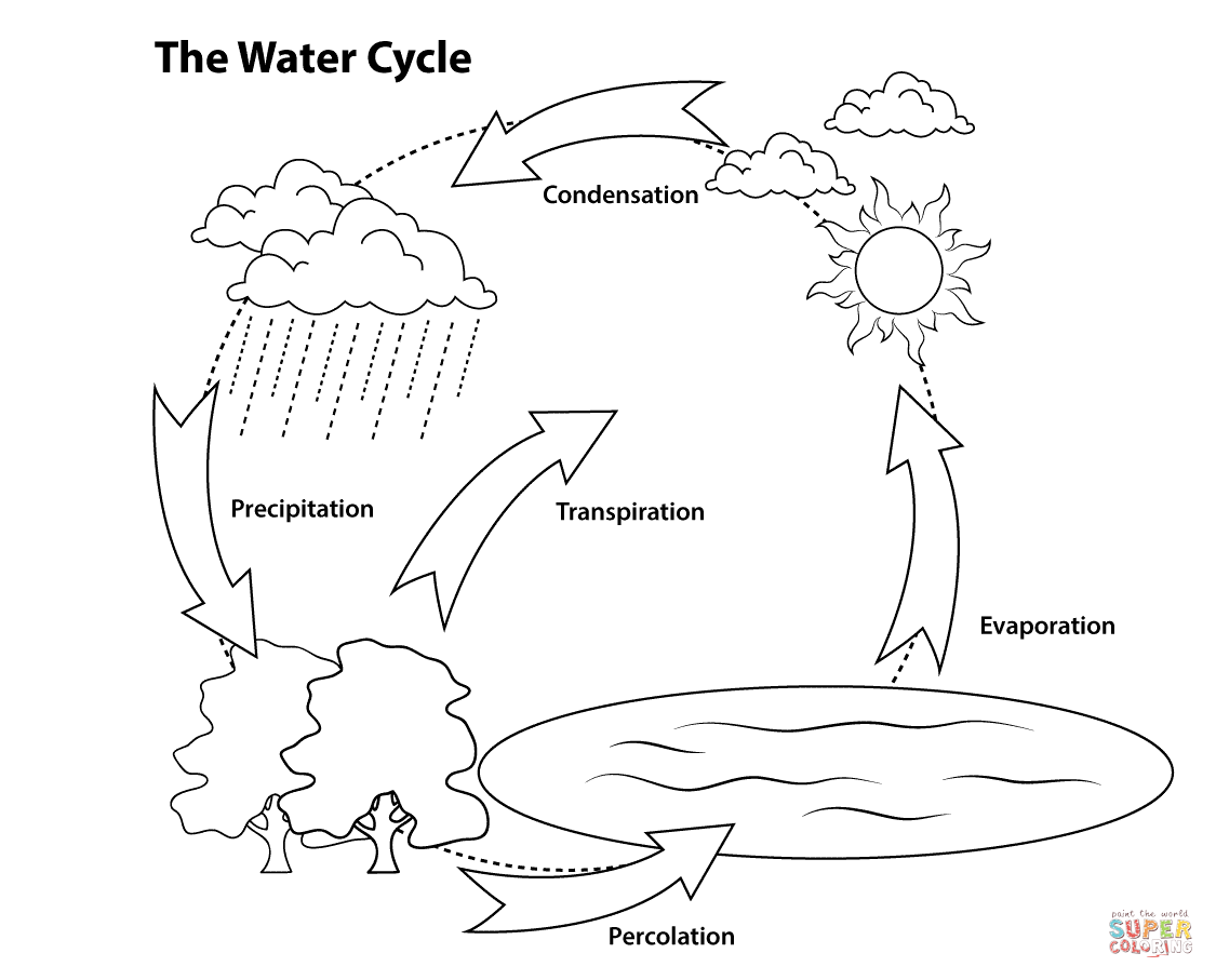 Simple water cycle coloring page free printable coloring pages