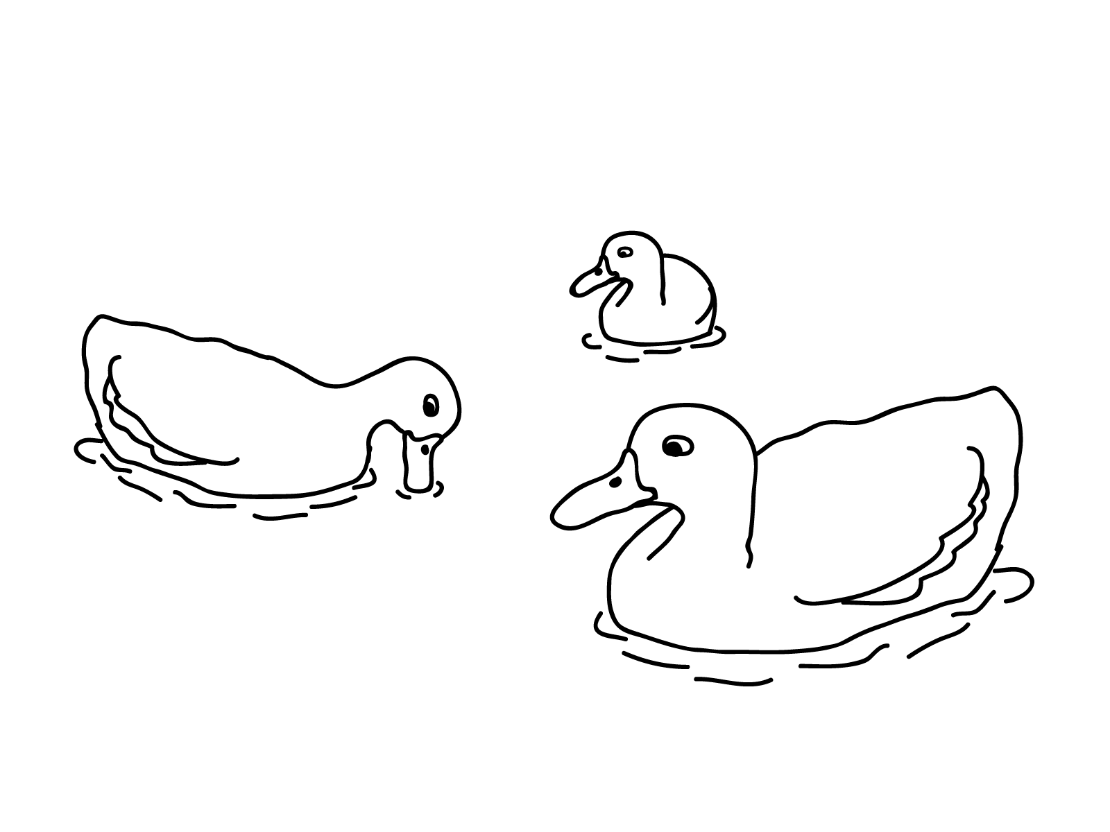 Duck coloring pages