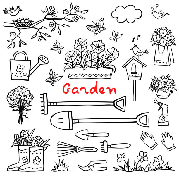 Coloring book watering can stock illustrations royalty