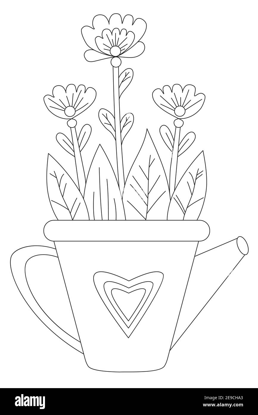 Spring flowers in a pot in the form of a watering can vector drawing black line outline white background houseplant flowerpot for print decor stock vector image art