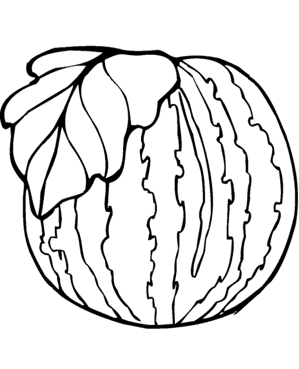 Watermelon printable picture for coloring