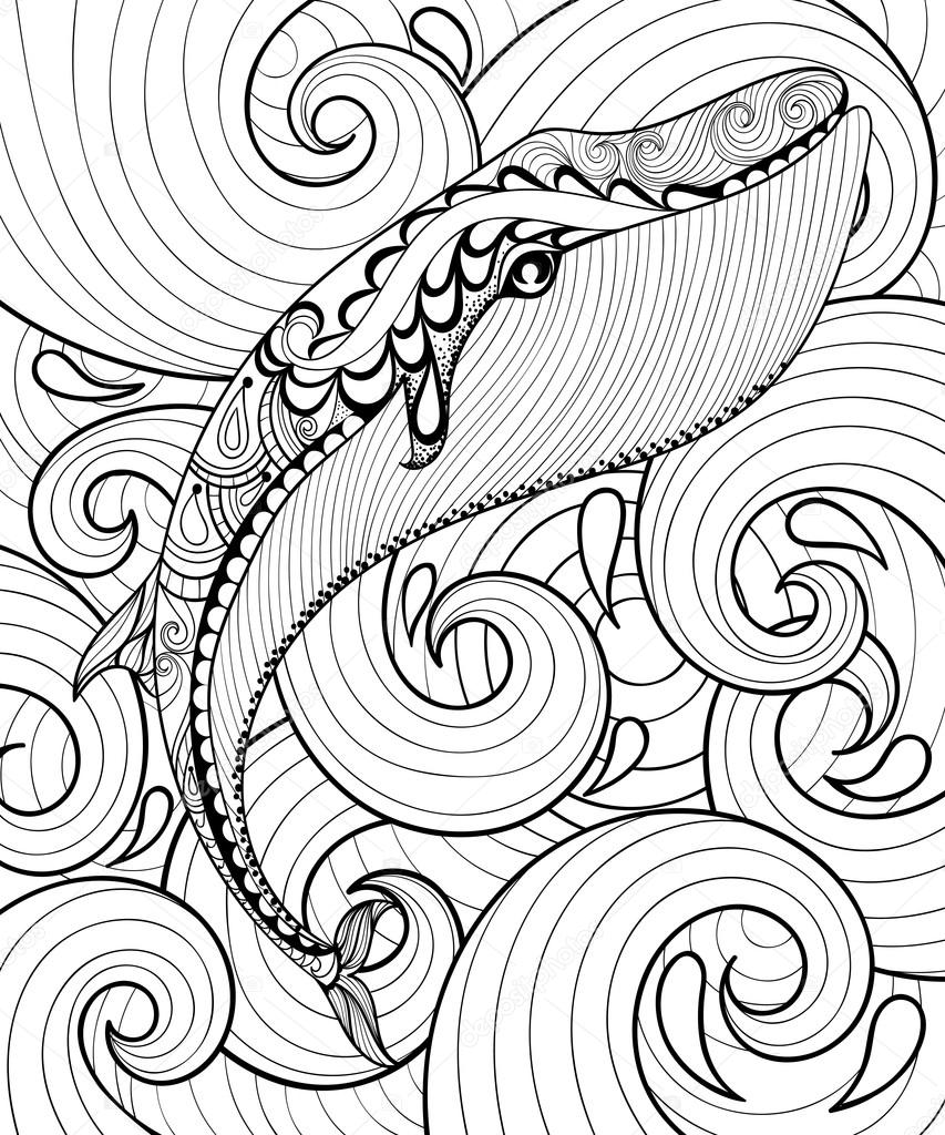 Vector zentangle whale in sea print for adult coloring page a stock vector by ipanki