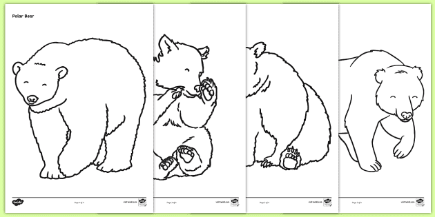 Bear activity louring sheets