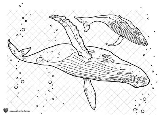 Humpback whales colouring page printable coloring page for adults children instant download whale coloring page whale coloring sheet print instant download