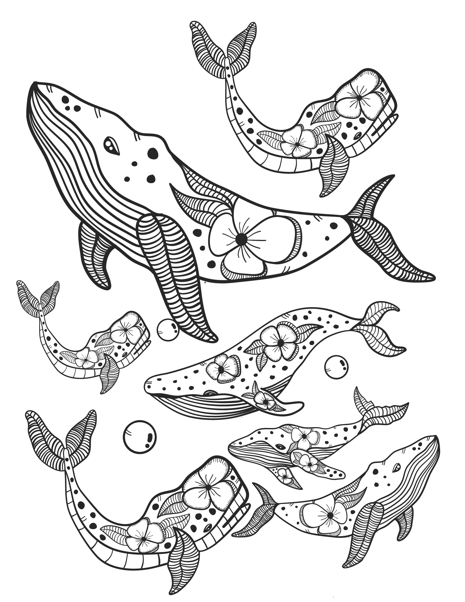 Have a whale of a time with these free whale coloring pages