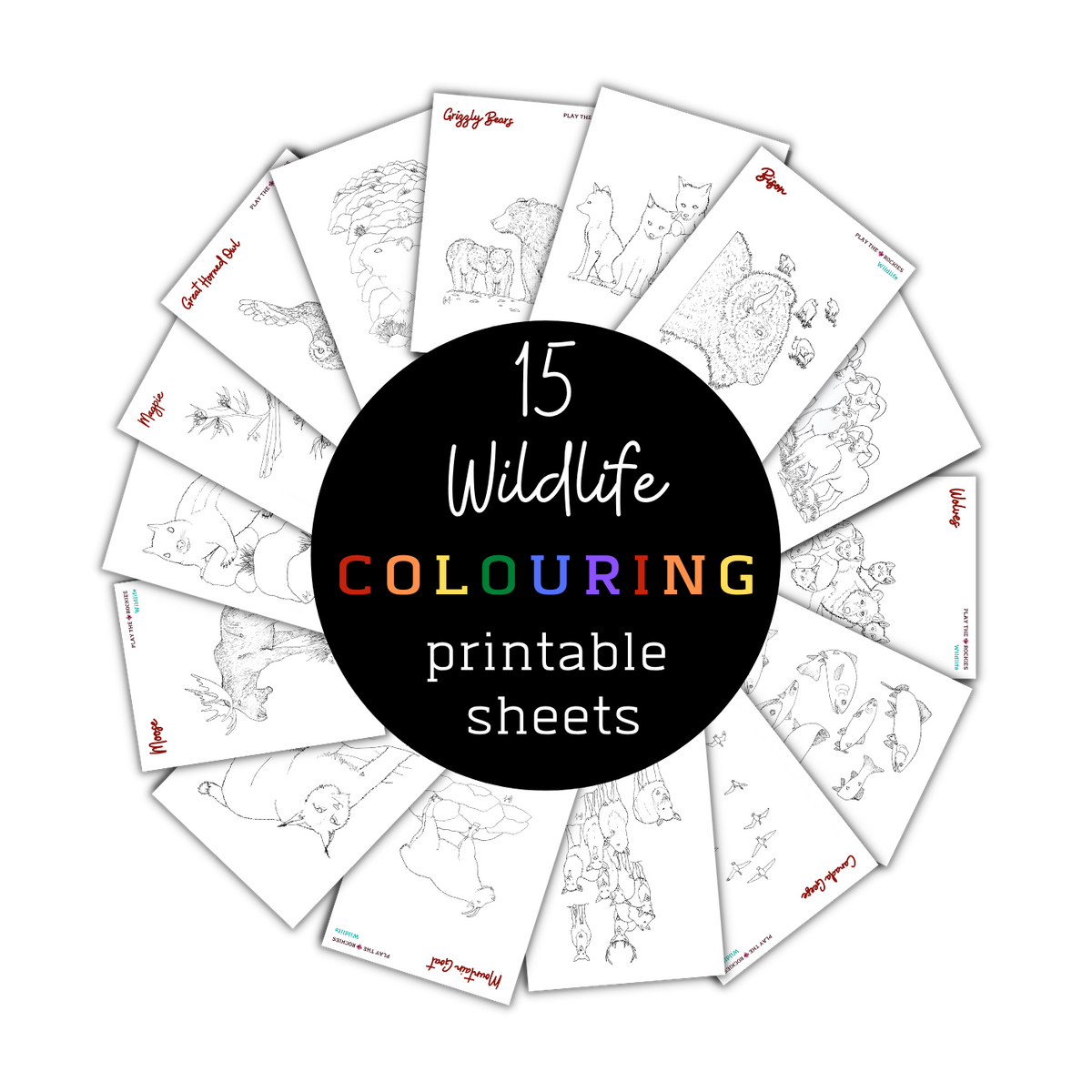 Set of wildlife colouring sheets â printable