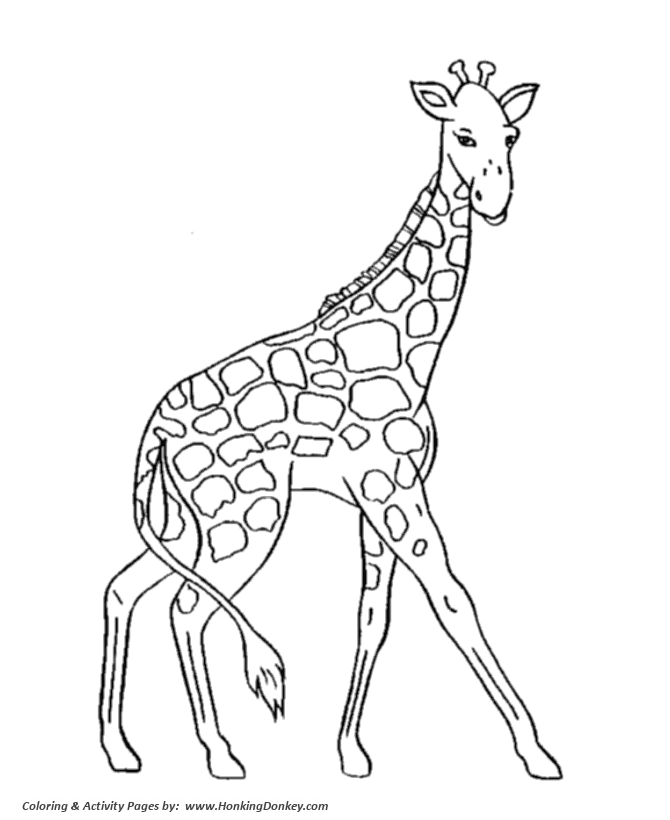 Wild animal coloring pages giraffe walking graceful coloring page and kids activity sheet