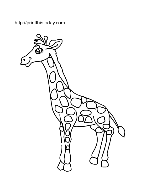 Free printable wild animals coloring pages