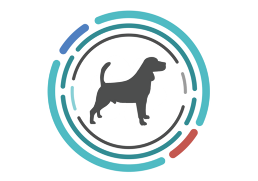 Foresight health irish doodle â the pet genetics lab