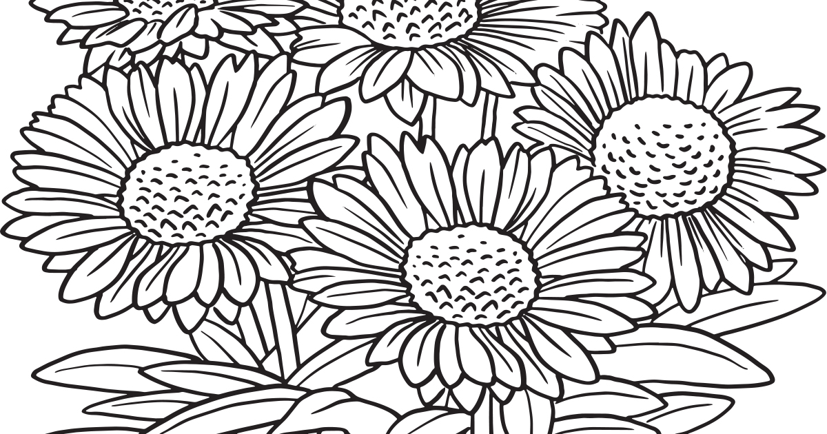 Download our printable wildflower coloring pages