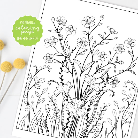 Buttercups wildflower coloring page meadow flower botanical coloring sheet adult coloring printable or digital