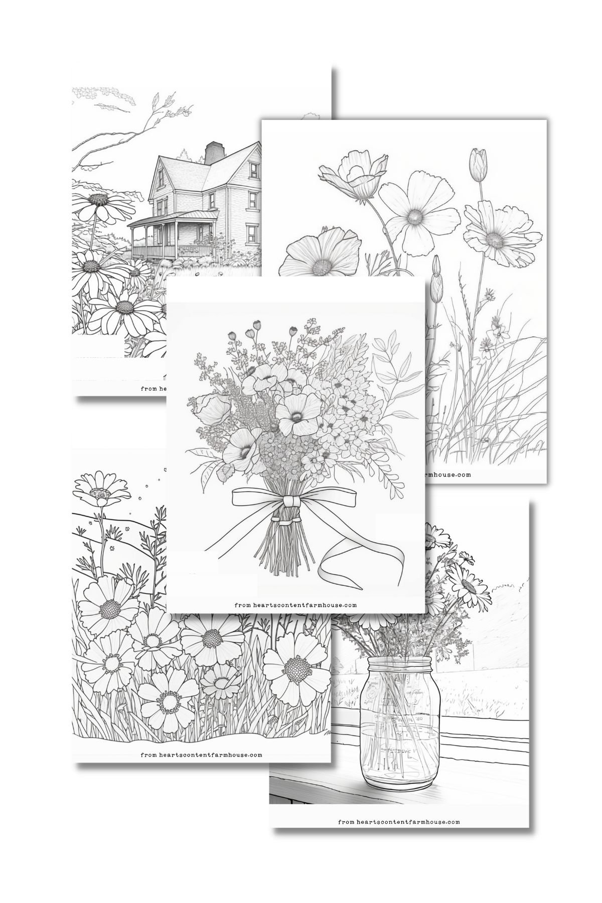 Wildflower coloring pages free easy download