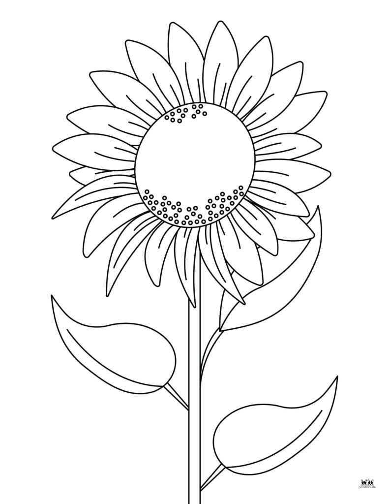 Flower coloring pages