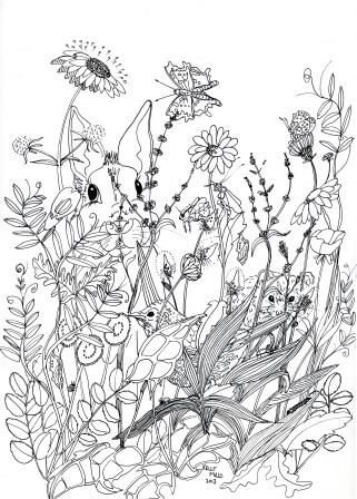 Wildflower drawing flower drawing art petitions