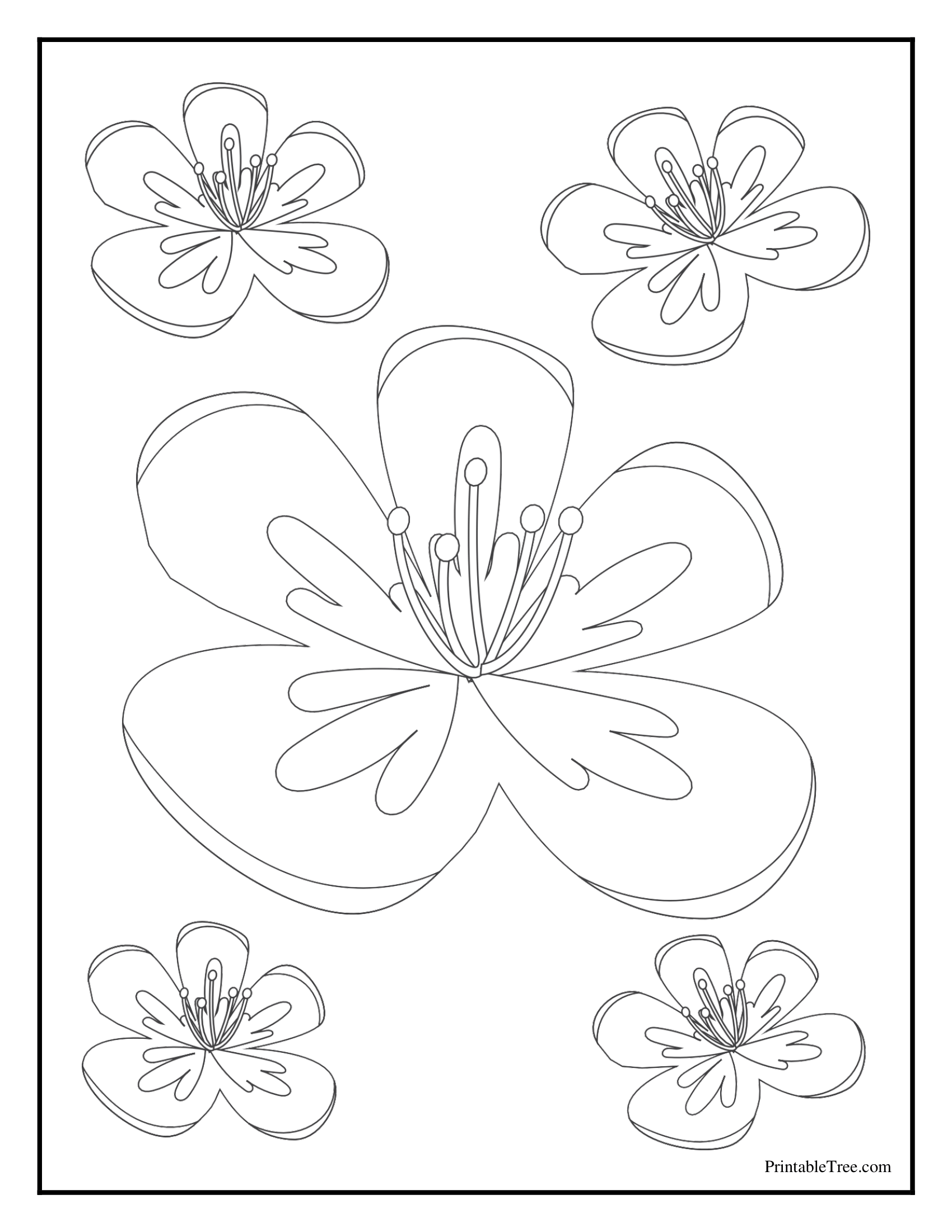 Free printable flower coloring pages pdf for kids and adults