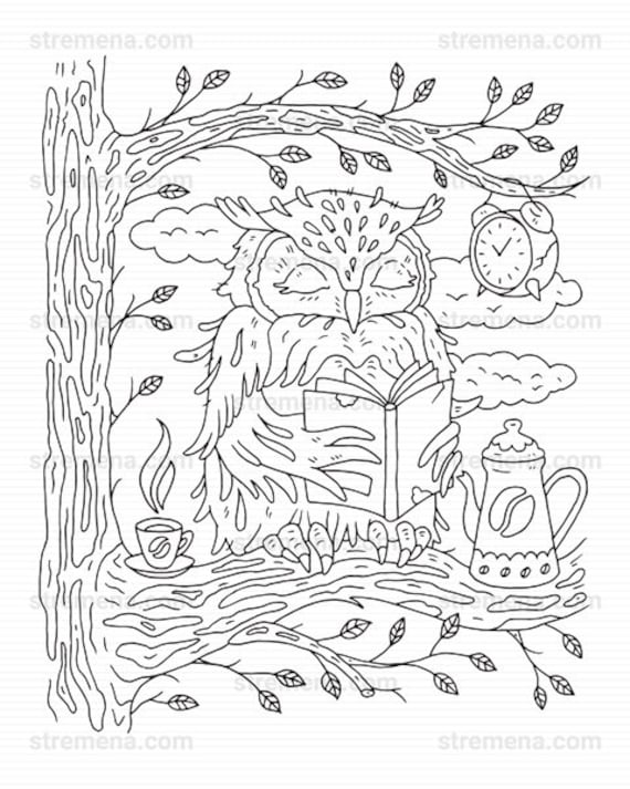 Lynx wildcat and owl printable animal coloring pages