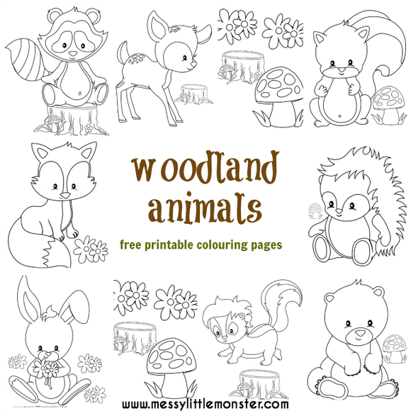 Woodland animal colouring pages â messy little monster shop