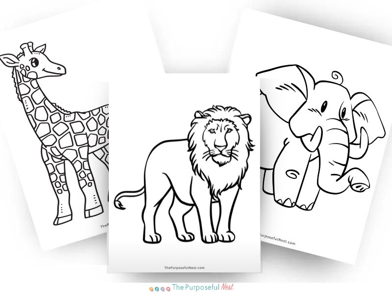 Safari animal coloring pages