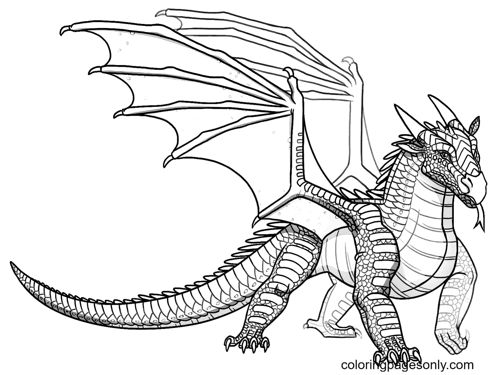 Wings of fire coloring pages printable for free download