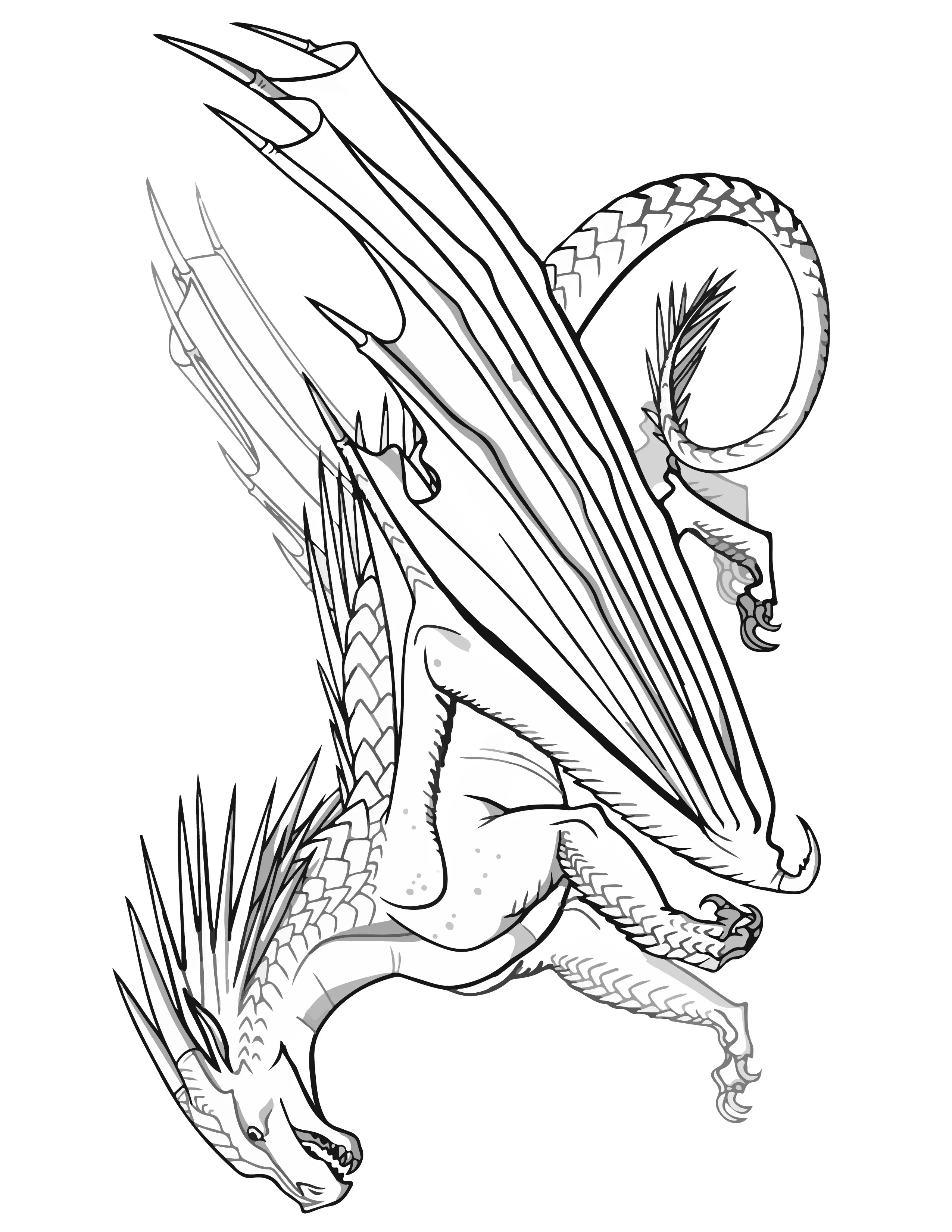 Wings of fire dragon coloring pages for kids free printable