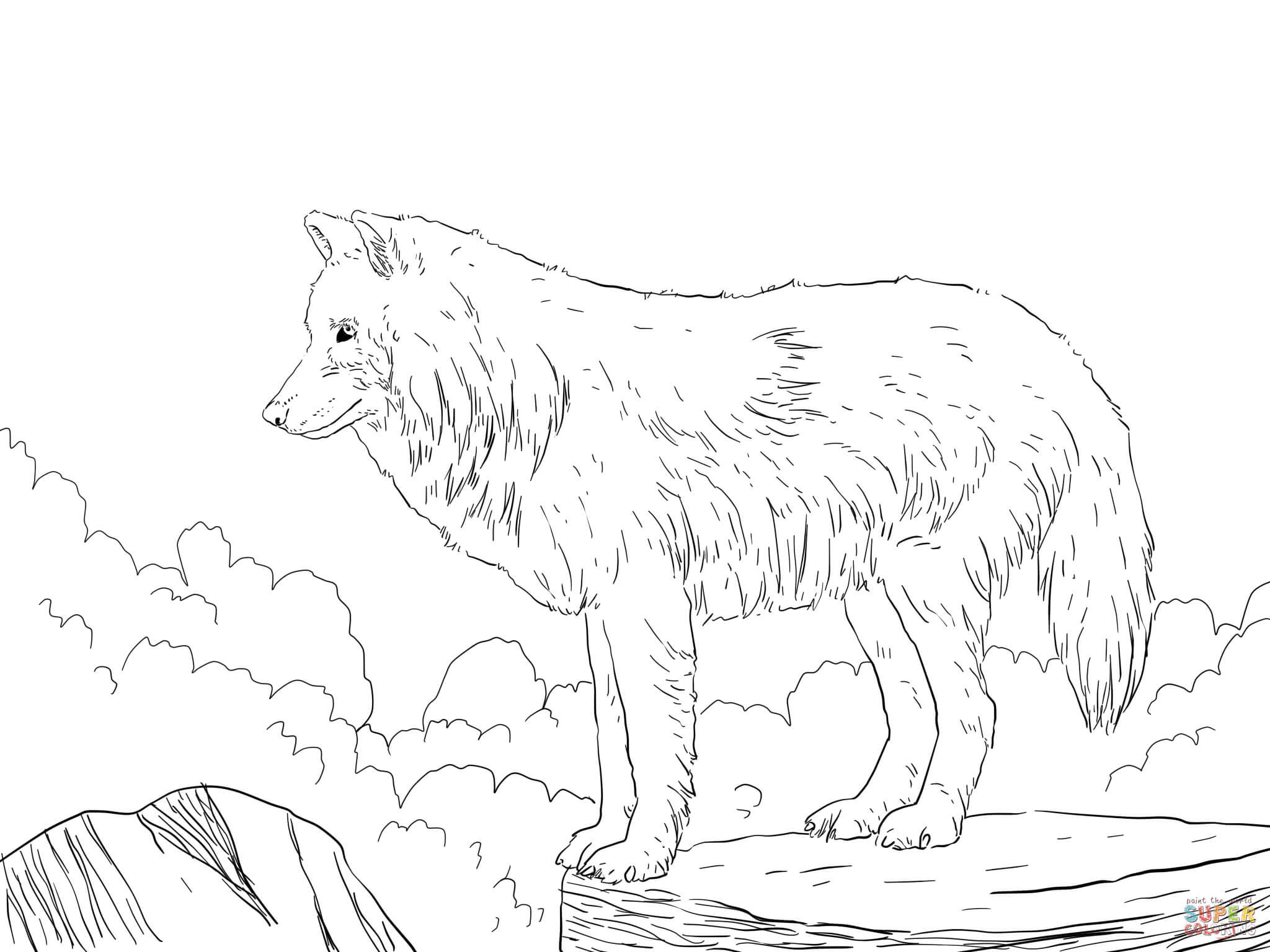 Arctic snow wolf coloring page free printable coloring pages