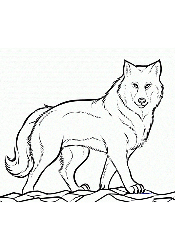 Coloring pages free printable wolf coloring pages for kids