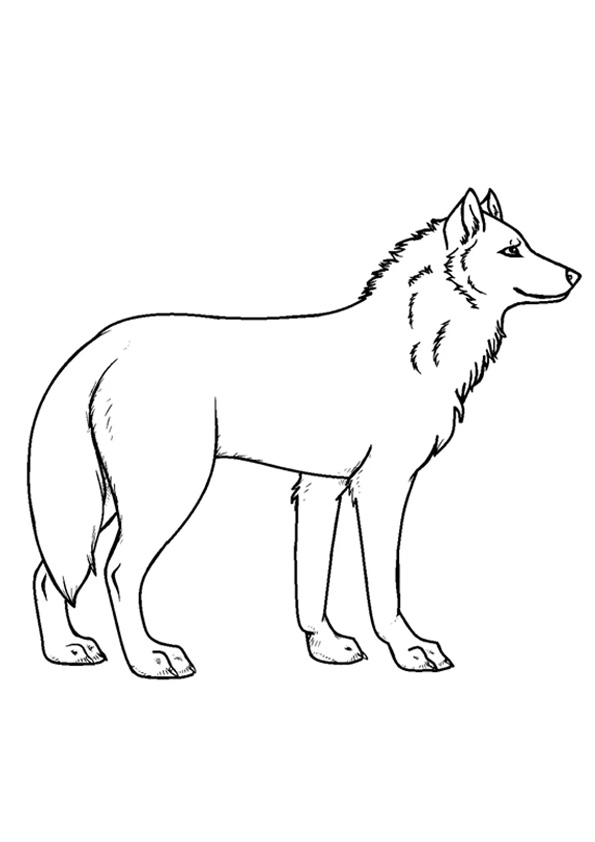 Coloring pages printable wolf coloring pages for kids