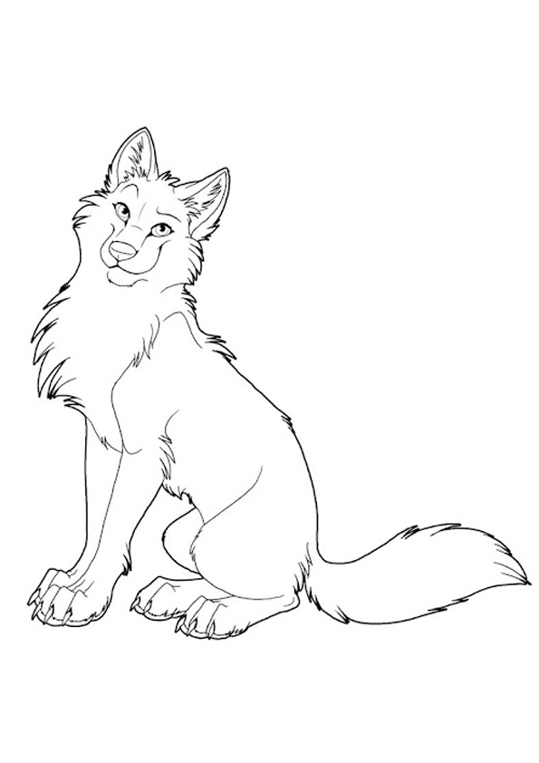 Coloring pages wolf coloring sheet