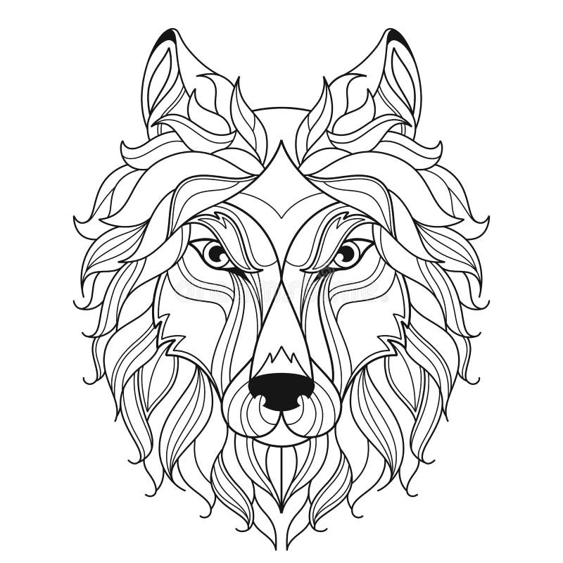 Wolf head zentangle stylized coloring page stock vector