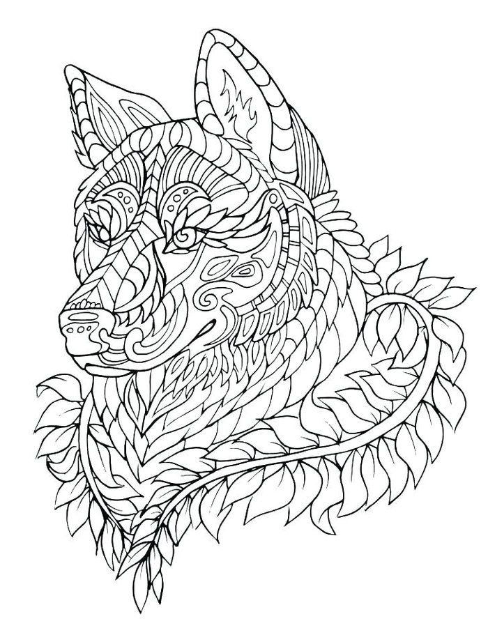 Coloring pages for adults wolf adult coloring pages coloring pages wolf colors