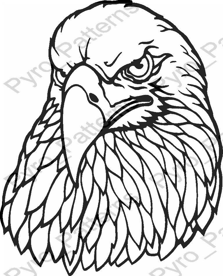 Scotty blake king on x eagle head bird pyrography wood burning pattern printable stencil instant download pyropatternsbirds by pyroâ httptcofitmzba x