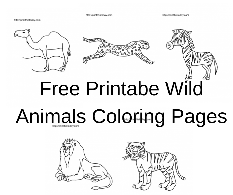 Free printable wild animals coloring pages