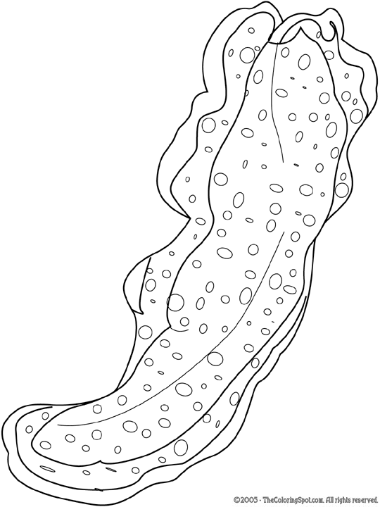 Sea worms coloring page audio stories for kids free coloring pages colouring printables