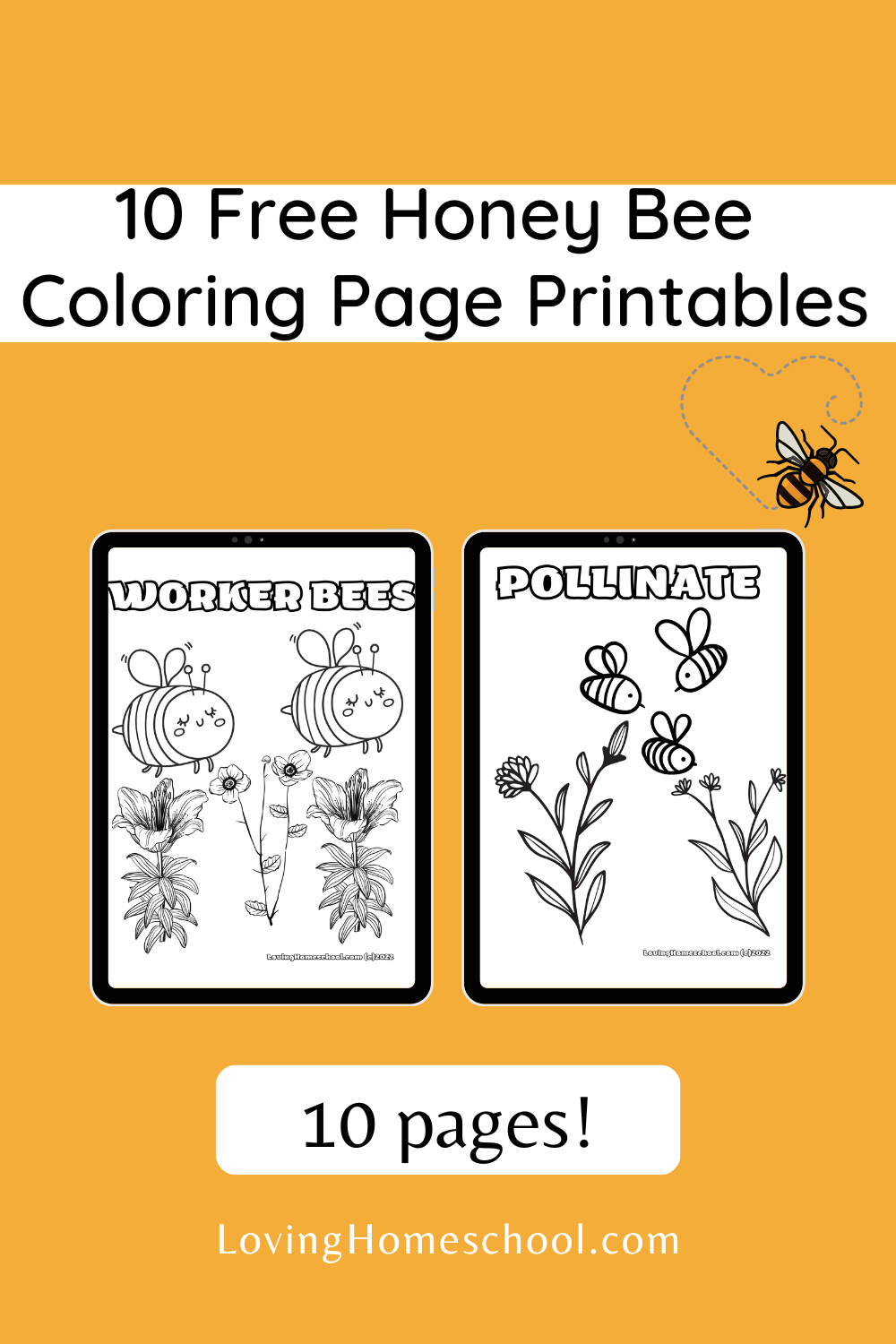 Honey bee coloring pages