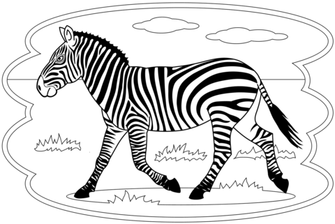 Zebra coloring page free printable coloring pages