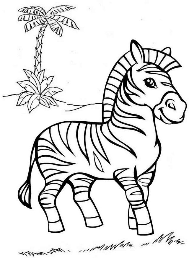 Zebra animal zebra coloring pages zoo animal coloring pages zebra drawing