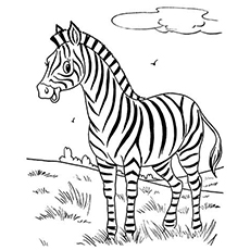 Top free printable zebra coloring pages online