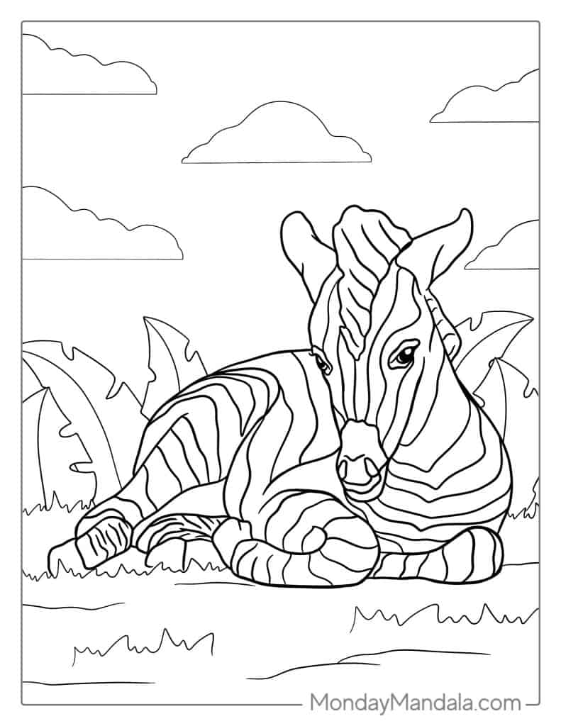 Zebra coloring pages free pdf printables