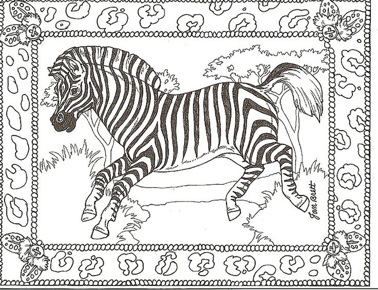 Coloring pages of zebra print pictures animal coloring free printable zebra coloring pagâ zebra coloring pages giraffe coloring pages zoo animal coloring pages