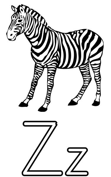 Zebra coloring page