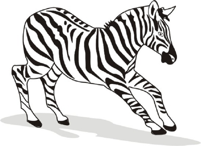 Free printable zebra coloring pages for kids