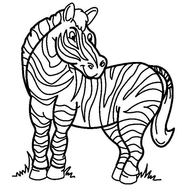 Zebra coloring