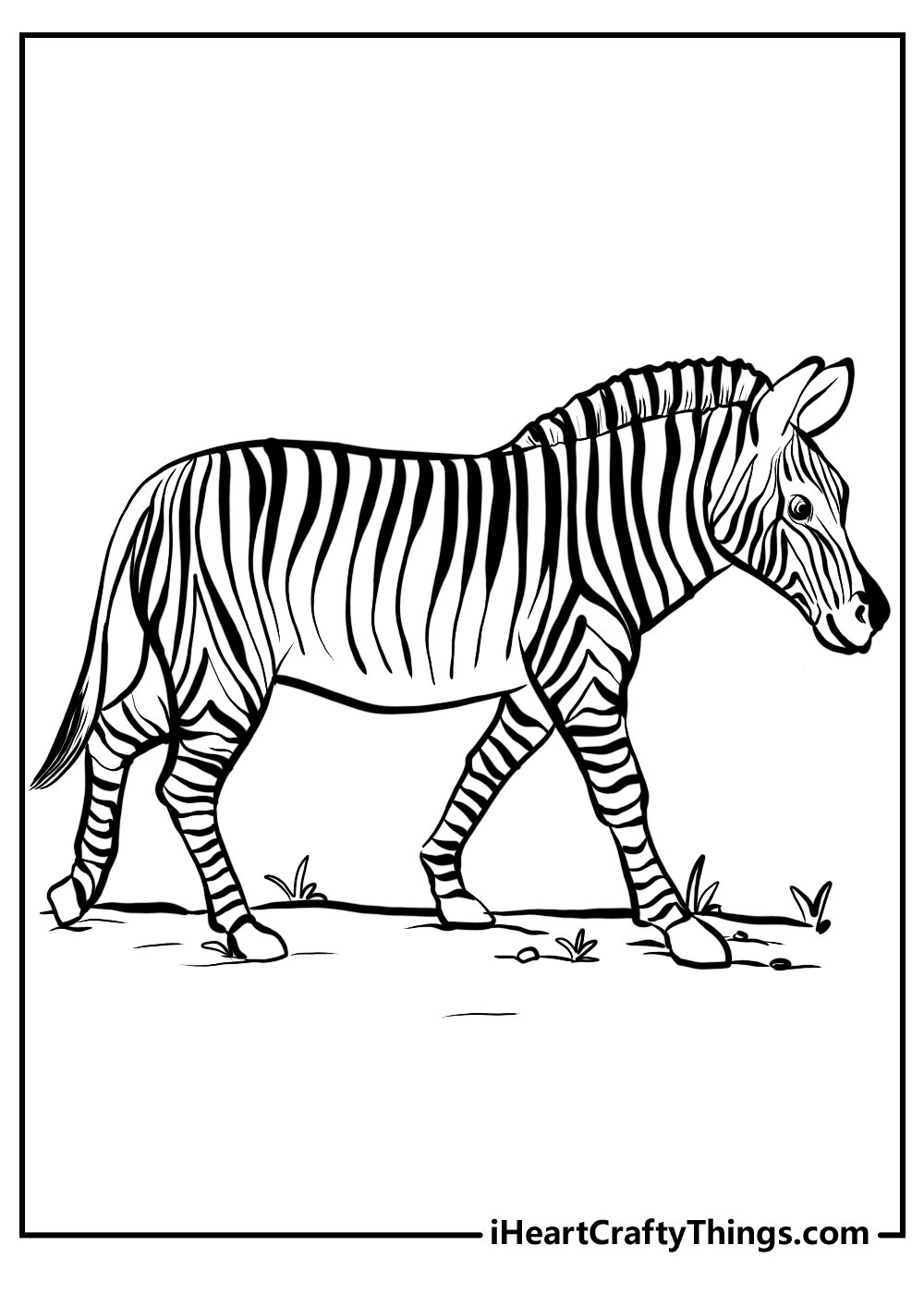 Zebra coloring pages free printables