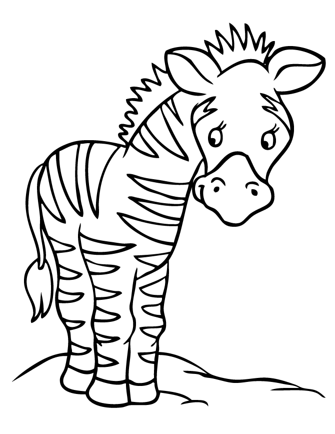 Coloring pages cute zebra coloring pages