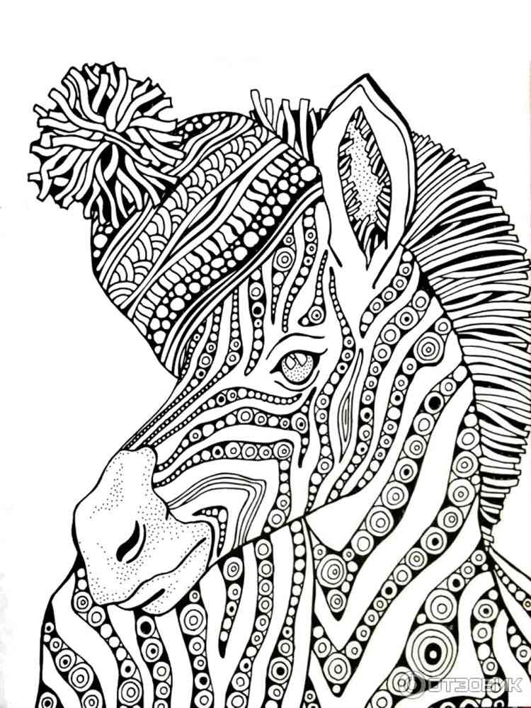 Zebra coloring pages for adults