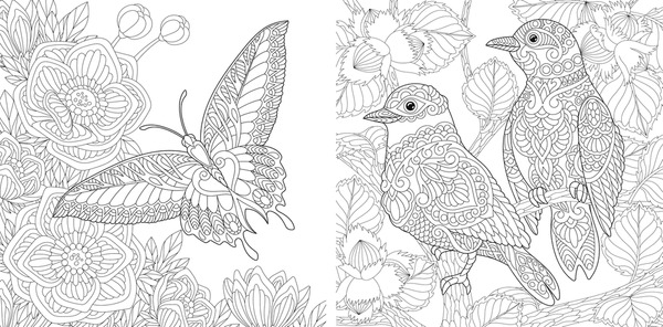 Adult coloring pages animals images stock photos d objects vectors