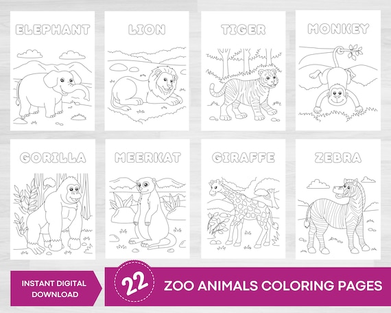 Zoo animals coloring pages animal coloring pages animal coloring safari animals coloring book for kids party activities coloring instant download